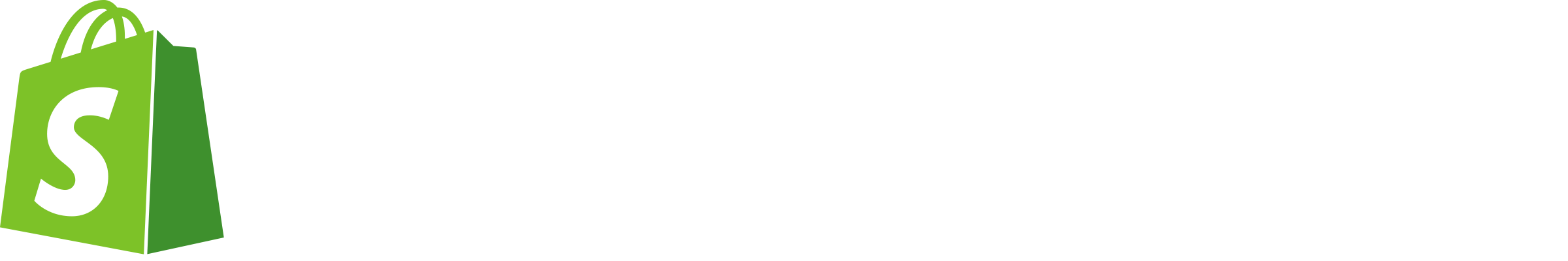 Shopify Partner